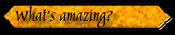 What is amazing?