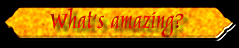 What's amazing?