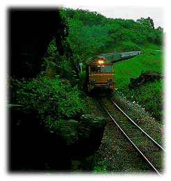 Train in Thailand