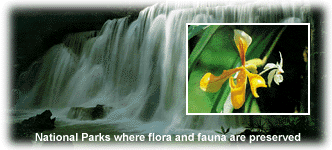 National Parks where flora and fauna are preserved