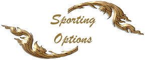 Sporting Options
