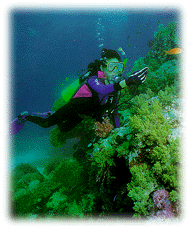Scuba diving enthusiasta