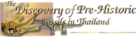The discovery of pre-historic fossils in Thailand