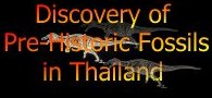 Discovery of pre-historic fossils in Thailand
