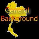 General Backgroug