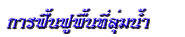 การฟื้นฟูพื้นที่ลุ่มน้ำ