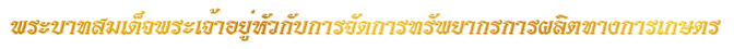 พระ<wbr>บาท<wbr>สมเด็จ<wbr>พระ<wbr>เจ้า<wbr>อยู่<wbr>หัวกับการ<wbr>จัด<wbr>การ<wbr>ทรัพยากร<wbr>การ<wbr>ผลิต<wbr>ทางการ<wbr>เกษตร<wbr><wbr>