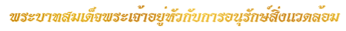 พระ<wbr>บาท<wbr>สมเด็จ<wbr>พระ<wbr>เจ้า<wbr>อยู่<wbr>หัวกับการ<wbr>อนุรักษ์<wbr>สิ่ง<wbr>แวด<wbr>ล้อม<wbr><wbr>