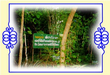 ศูนย์ศึกษาการพัฒนาเขาหินซ้อนอันเนื่องมาจากพระราชดำริ  จังหวัดเพชรบุรี